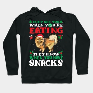 Christmas Dog Eating Snacks Hoodie